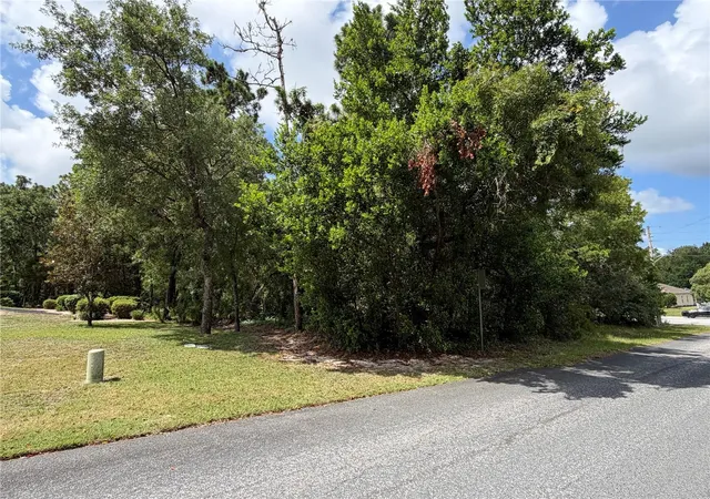 Homes for sale in Homosassa, FL | 1 Hazelwood Dr, Homosassa, FL 34446 | MLS# OM726362