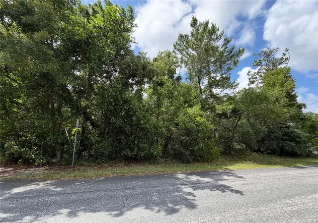 Homes for sale in Homosassa, FL | 1 Hazelwood Dr, Homosassa, FL 34446 | MLS# OM726362
