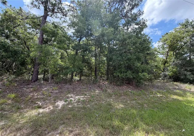 Homes for sale in Homosassa, FL | 1 Hazelwood Dr, Homosassa, FL 34446 | MLS# OM726362
