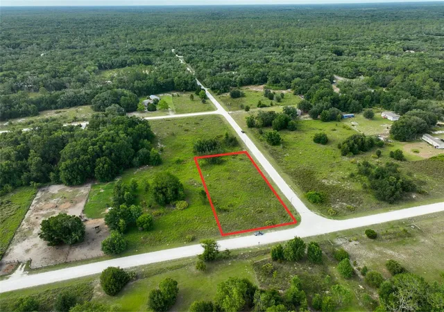 Homes for sale in Webster, FL | 9017 Split Stone Dr, Webster, FL 33597 | MLS# O6415615