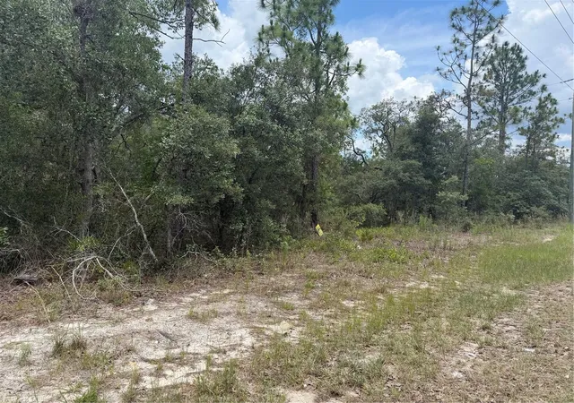 Homes for sale in Homosassa, FL | 6215 S Premiere Ave, Homosassa, FL 34446 | MLS# W7886607