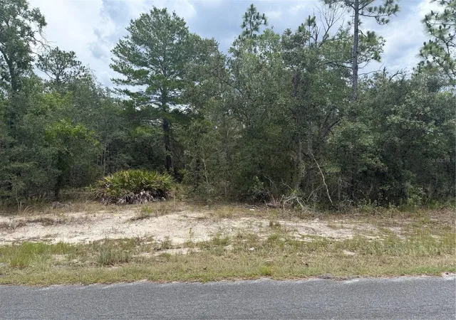 Photo 3 of Land for sale at 6215 S Premiere Ave, Homosassa, FL 34446 | MLS# W7886607 | Listing updated on 2026-06-16