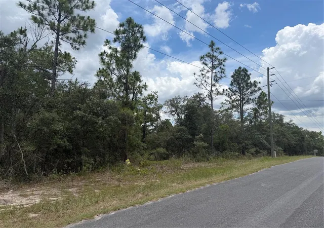 Homes for sale in Homosassa, FL | 6215 S Premiere Ave, Homosassa, FL 34446 | MLS# W7886607