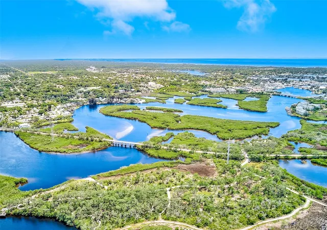25th image of 1400 Club Dr, Tarpon Springs, FL 34689 | MLS# TB8517835