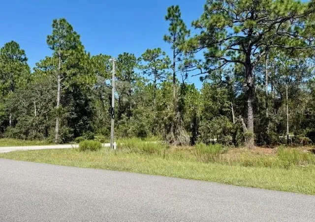 Homes for sale in Dunnellon, FL | 135 Ct Se, Dunnellon, FL 34431 | MLS# TB8517876