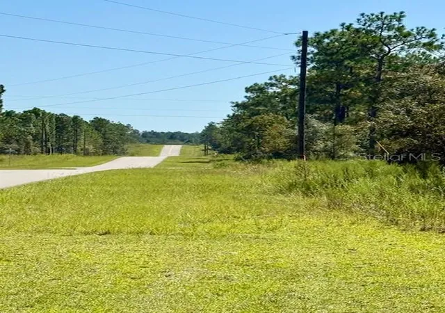 Photo 3 of Land for sale at 135 Court Se, Dunnellon, FL 34431 | MLS# TB8517876 | Listing updated on 2026-07-15
