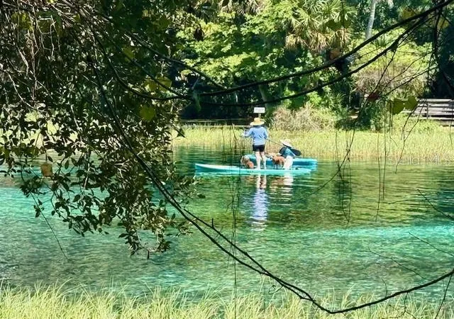 Photo 4 of Land for sale at 135 Court SE, Dunnellon, FL 34431 | MLS# TB8517876 | Listing updated on 2026-07-15