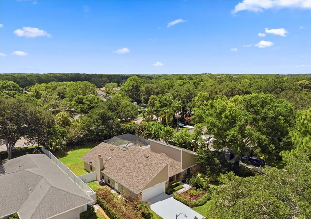 62nd image of 14207 Ashburn Pl, Tampa, FL 33624 | MLS# TB8517885