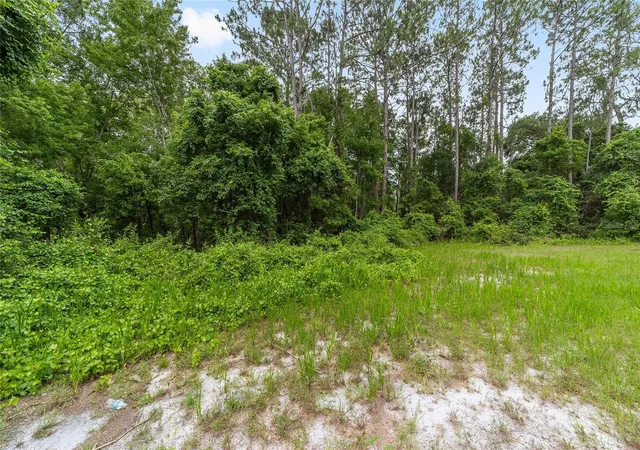 5th image of 11895 Se 136Th Ct, Ocklawaha, FL 32179 | MLS# OM726397