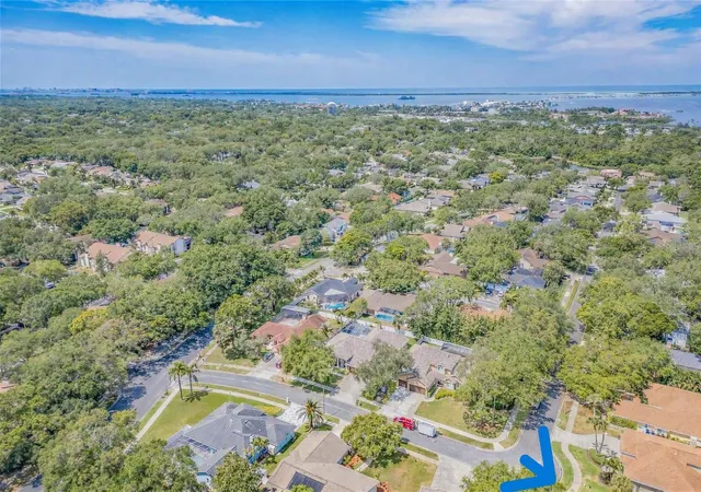 47th image of 2899 Turtle Ter, Palm Harbor, FL 34683 | MLS# TB8517900