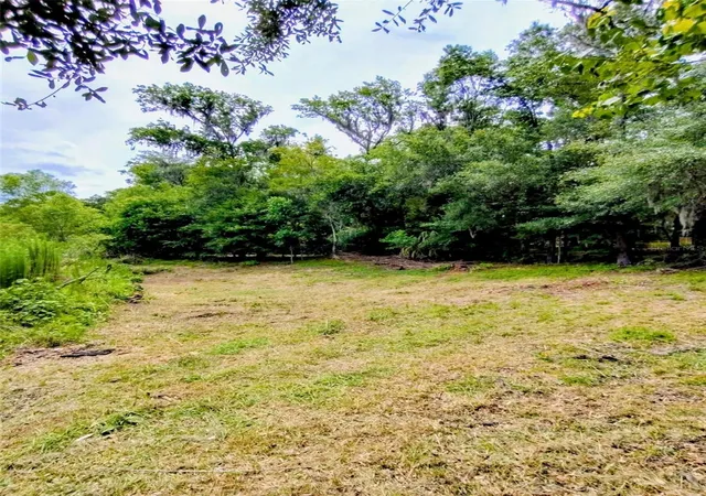 Photo 2 of Land for sale at Fitzhugh Ave, Brooksville, FL 34601 | MLS# TB8517920 | Listing updated on 2026-09-19