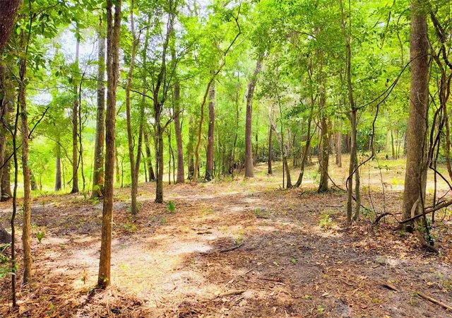 Photo 3 of Land for sale at Fitzhugh Ave, Brooksville, FL 34601 | MLS# TB8517920 | Listing updated on 2026-09-19