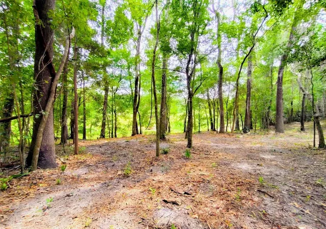 Photo 4 of Land for sale at Fitzhugh Ave, Brooksville, FL 34601 | MLS# TB8517920 | Listing updated on 2026-09-19