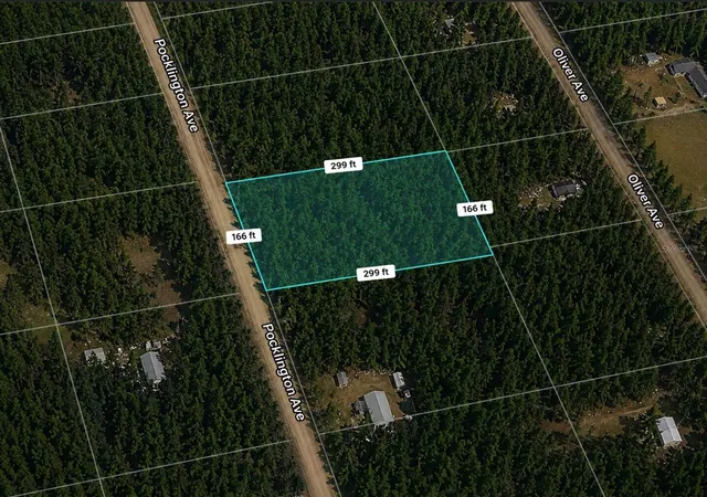Homes for sale in Hastings, FL | 9740 Pocklington Ave, Hastings, FL 32145 | MLS# TB8517961