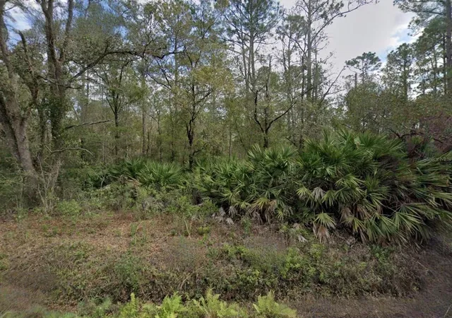 Homes for sale in Hastings, FL | 9740 Pocklington Ave, Hastings, FL 32145 | MLS# TB8517961