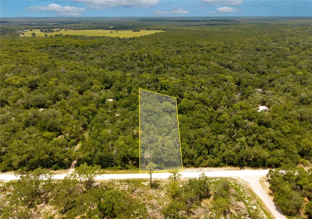 Photo 1 of Land for sale at 7353 Riverview Dr, Webster, FL 33597 | MLS# W7886638 | Listing updated on 2026-08-11