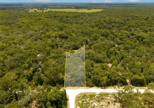 Photo 4 of Land for sale at 7333 Riverview Dr, Webster, FL 33597 | MLS# W7886641 | Listing updated on 2026-08-11