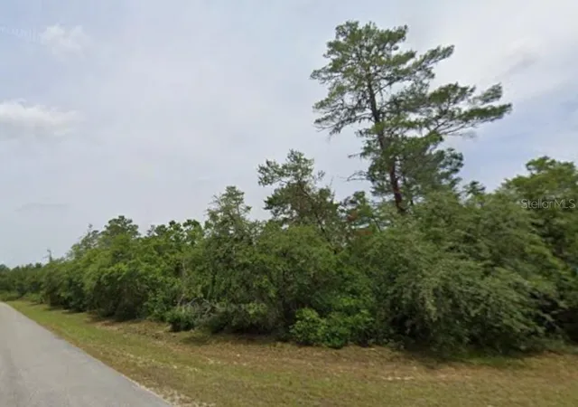 Photo 5 of Sale Pending at Lot 19 31st Court, Ocala, FL 34473 | MLS# OM726420 | Listing updated on 2026-09-01