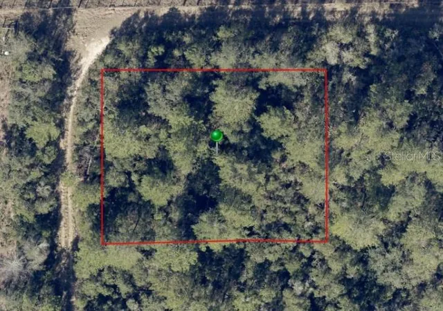 Homes for sale in De Leon Springs, FL | No Street, De Leon Springs, FL 32130 | MLS# O6415875