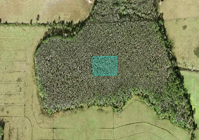 1st image of No Street, Polk City, FL 33868 | MLS# O6415877