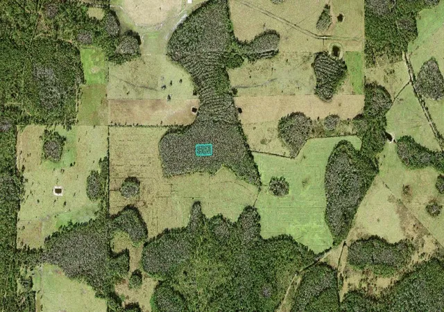 2nd image of No Street, Polk City, FL 33868 | MLS# O6415877