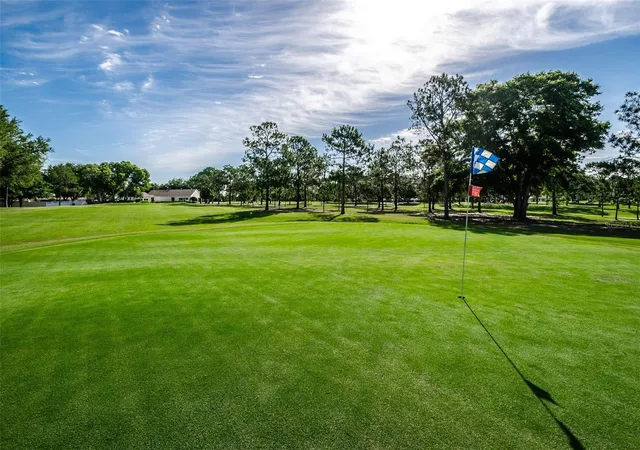 39th image of 1529 E Dorchester Dr, Palm Harbor, FL 34684 | MLS# TB8518054