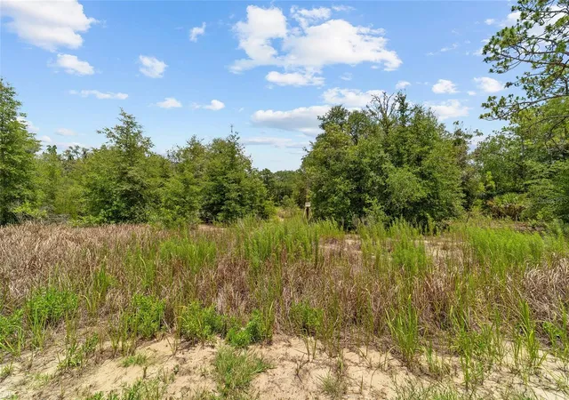 Photo 3 of Land for sale at 2499 SW 143rd Court, Ocala, FL 34481 | MLS# OM726462 | Listing updated on 2026-10-05