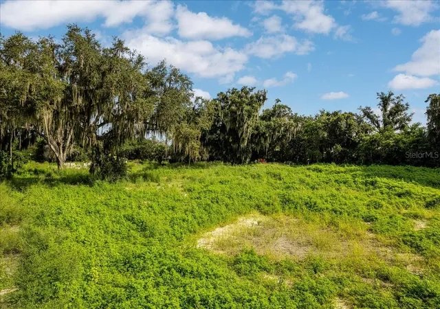 Photo 53 of Land for sale at 12422 Park Ave, Windermere, FL 34786 | MLS# O6416090 | Listing updated on 2026-06-17