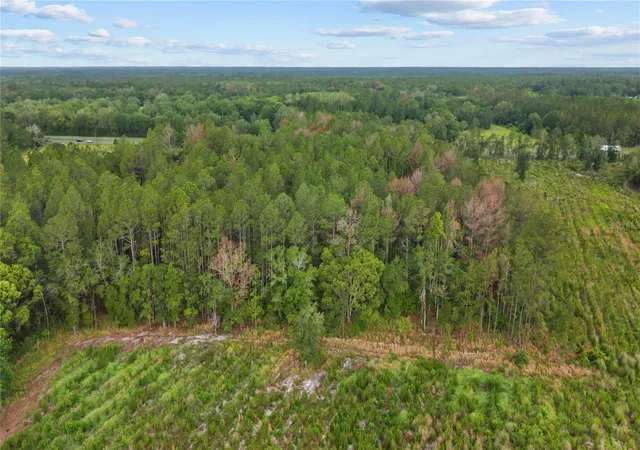 5th image of Ne Us Hwy 301, Hawthorne, FL 32640 | MLS# OM726487