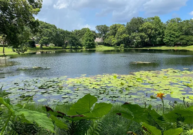 1st image of 1113 Via Del Mar, Winter Park, FL 32789 | MLS# O6416144