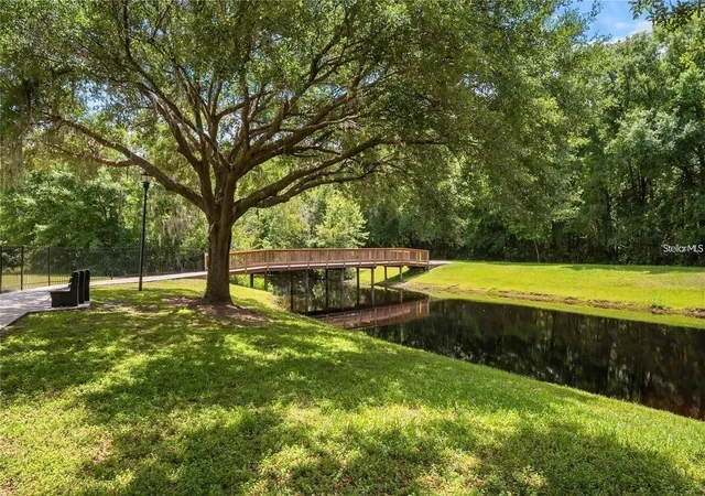 56th image of 3916 Broomsedge Ln, Valrico, FL 33596 | MLS# TB8518406