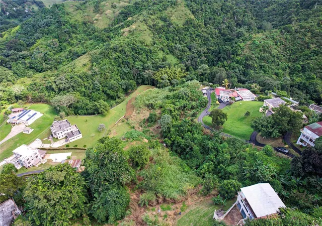 Photo 4 of Land for sale at Pr 568 Km 285 Sector El Limon Padilla, Corozal, PR 00783 | MLS# PR9122043 | Listing updated on 2026-06-12