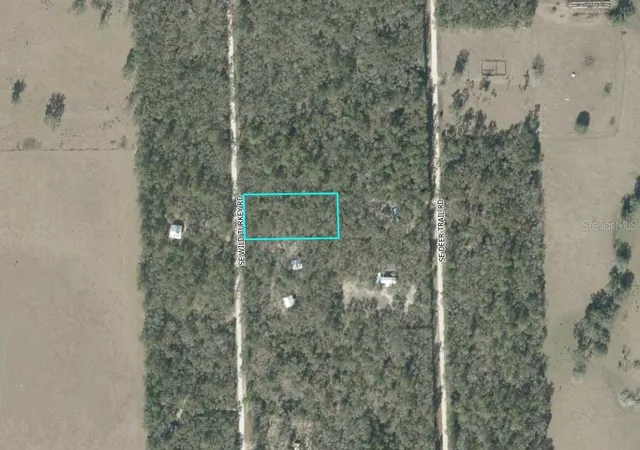 Homes for sale in Branford, FL | Se Wild Turkey Rd, Branford, FL 32008 | MLS# A4696848