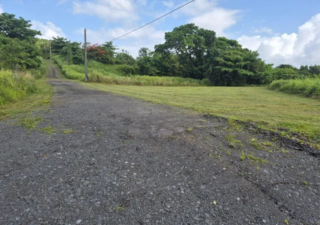 Homes for sale in Rio Grande, PR | Pr 956 Km 88 E Sector Los Medinas Bo Guzman Arriba, Rio Grande, PR 00745 | MLS# PR9122044