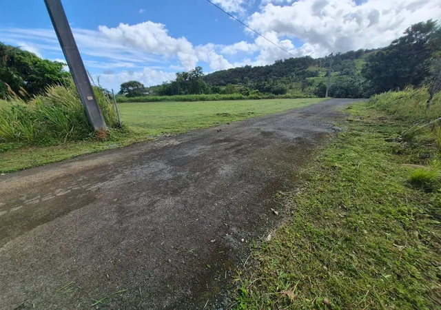 Homes for sale in Rio Grande, PR | Pr 956 Km 88 E Sector Los Medinas Bo Guzman Arriba, Rio Grande, PR 00745 | MLS# PR9122044