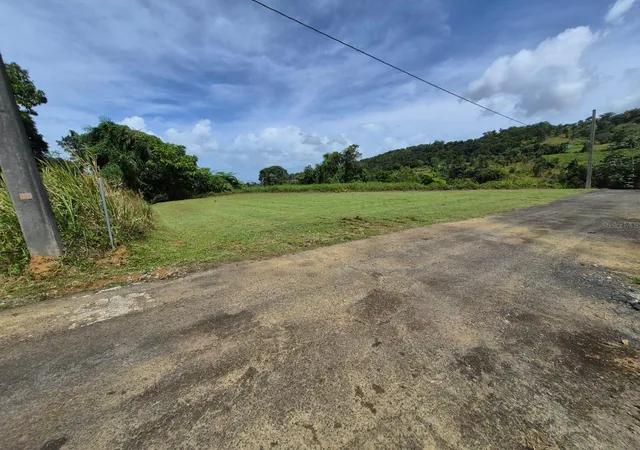 Homes for sale in Rio Grande, PR | Pr 956 Km 88 E Sector Los Medinas Bo Guzman Arriba, Rio Grande, PR 00745 | MLS# PR9122044