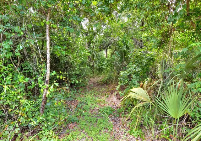4th image of 600 Thompson Rd, Lithia, FL 33547 | MLS# TB8518473