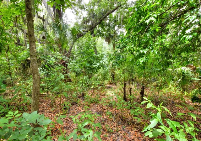 5th image of 600 Thompson Rd, Lithia, FL 33547 | MLS# TB8518473