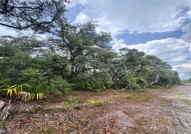 Photo 2 of Land for sale at Tbd Sw 71st Road, Ocala, FL 34473 | MLS# OM726508 | Listing updated on 2026-08-21