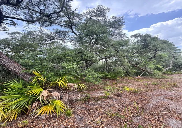 Photo 3 of Land for sale at Tbd Sw 71st Road, Ocala, FL 34473 | MLS# OM726508 | Listing updated on 2026-08-21