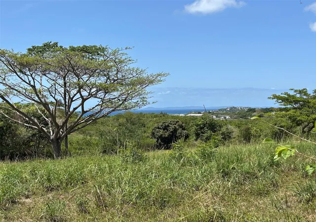 Homes for sale in Vieques, PR | Martineau Interior, Vieques, PR 00765 | MLS# PR9122052