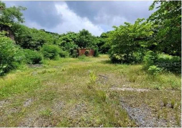 Photo 1 of Land for sale at Felipe La Voz Rodriguez, Guaynabo, PR 00969 | MLS# PR9122054 | Listing updated on 2026-06-13