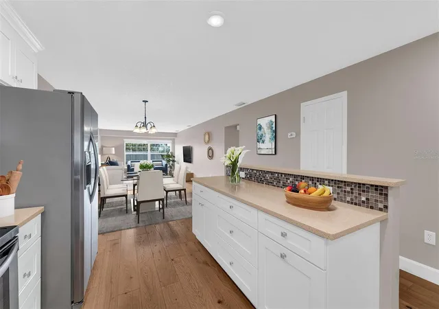 3rd image of 110 N Tremain St, MOUNT DORA, FL 32757