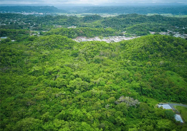 Photo 4 of Land for sale at Pr 616 La Monserrate, Manati, PR 00674 | MLS# PR9122062 | Listing updated on 2026-06-13