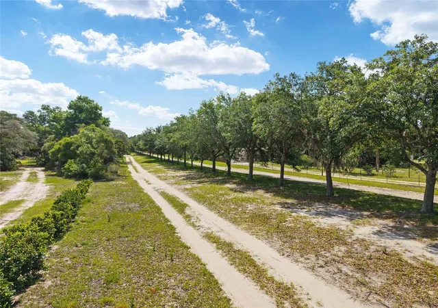 Photo 4 of Land for sale at 17171 SW 17th Circle, Ocala, FL 34473 | MLS# O6416452 | Listing updated on 2026-09-21