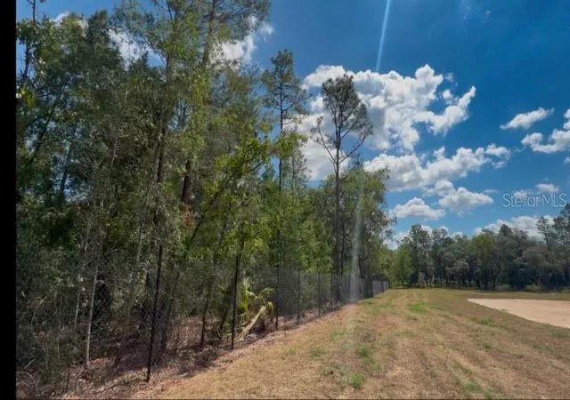 2nd image of 3476 N Iguana Path, Crystal River, FL 34428 | MLS# TB8518747