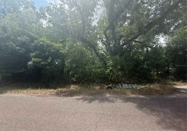 Photo 2 of Land for sale at 4447 Edwards Rd, Plant City, FL 33567 | MLS# TB8518846 | Listing updated on 2026-08-06