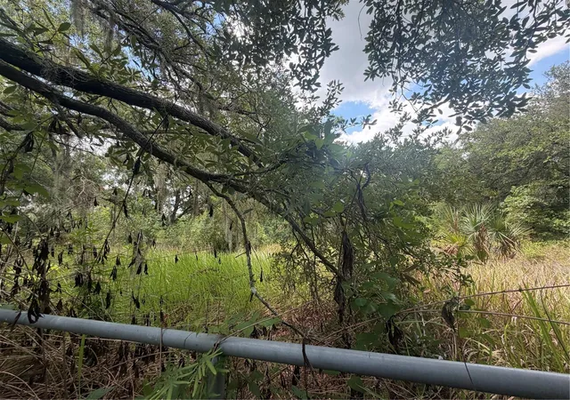 Photo 3 of Land for sale at 4447 Edwards Rd, Plant City, FL 33567 | MLS# TB8518846 | Listing updated on 2026-08-06