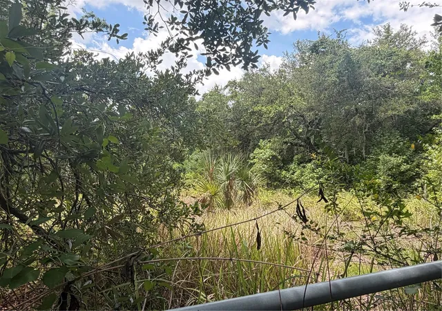 Photo 4 of Land for sale at 4447 Edwards Rd, Plant City, FL 33567 | MLS# TB8518846 | Listing updated on 2026-08-06