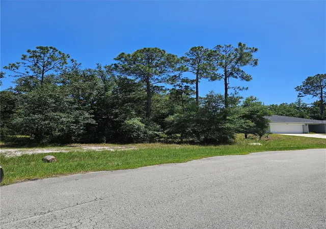 Homes for sale in Poinciana, FL | 223 Starling Ct, Poinciana, FL 34759 | MLS# O6416582